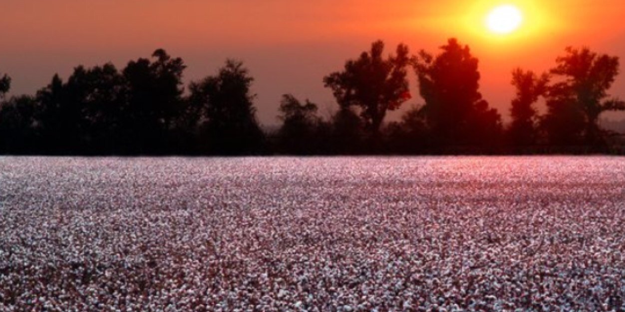 Todd Nettleton banner