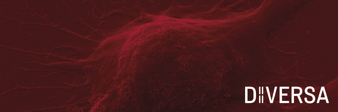 Abi Judit Vázquez banner