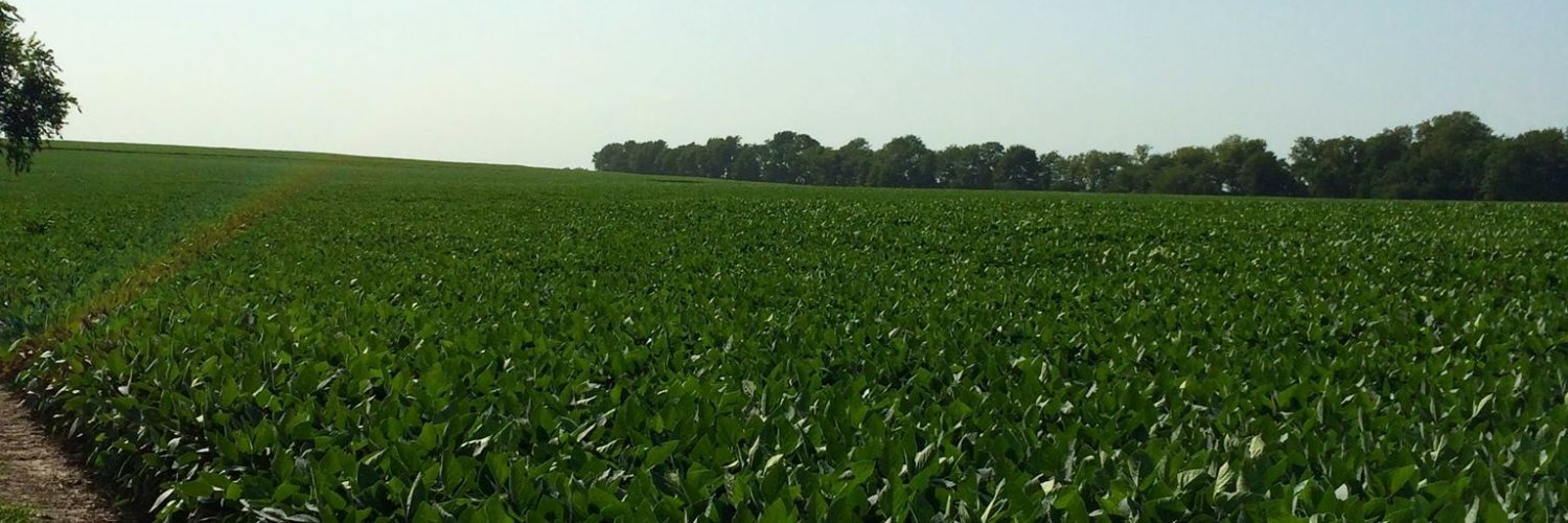 MattBegemann's profile banner image