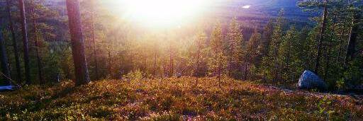 Gustavnorback's profile banner image