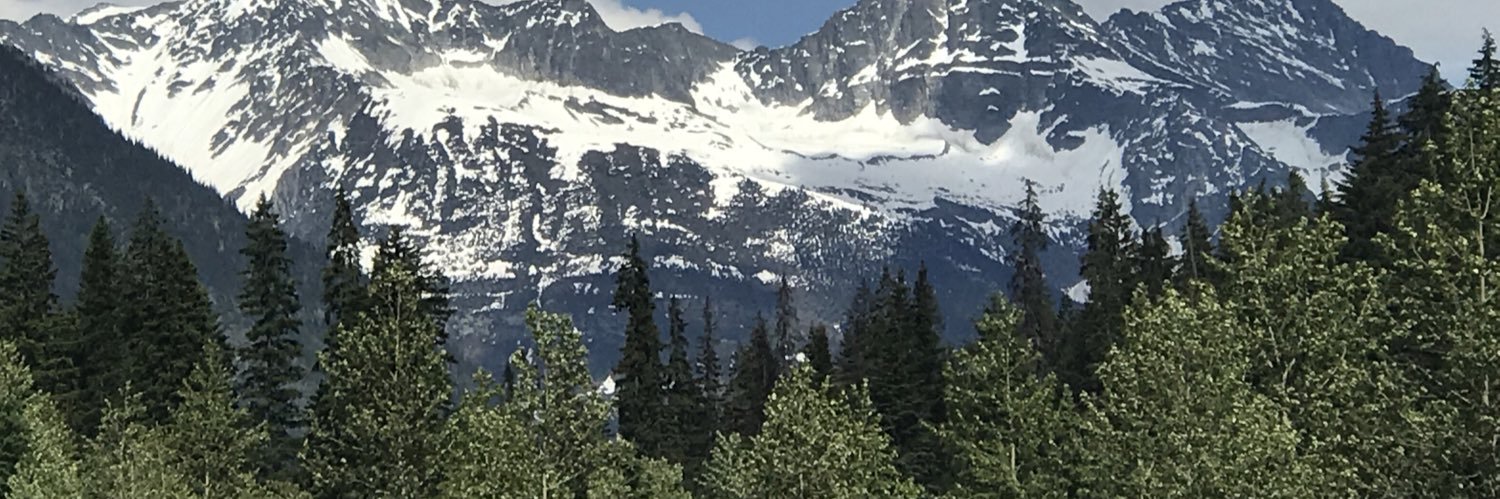 miishagoliin's profile banner image