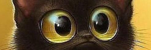 Filisenta's profile banner image