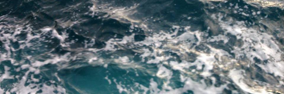 zanabulajic's profile banner image