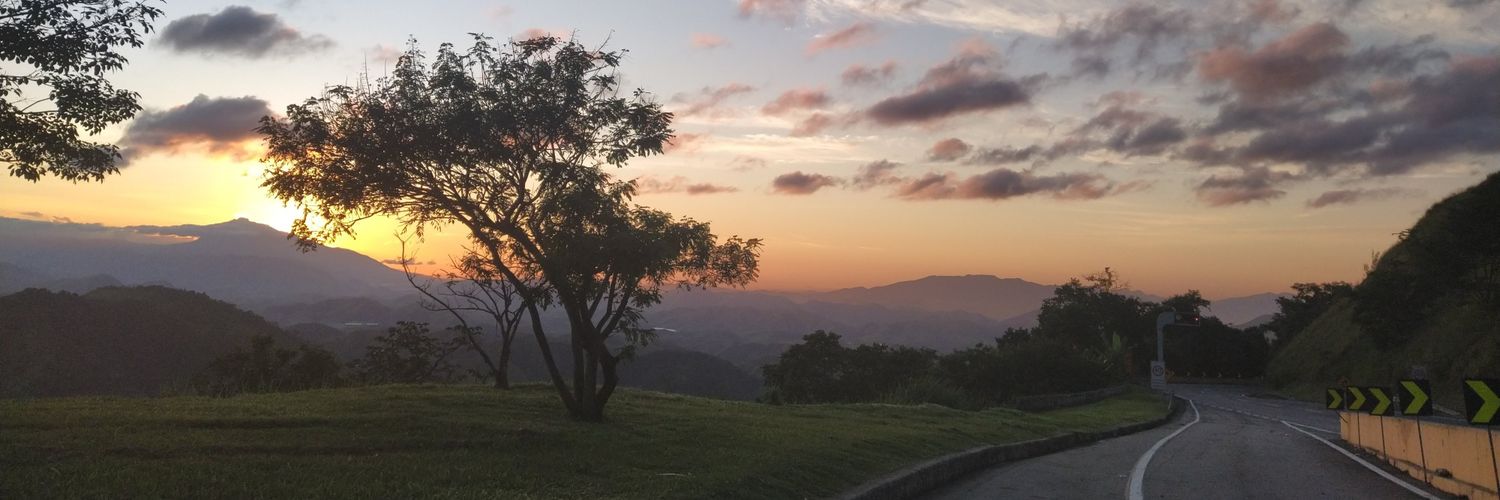 palomaesp's profile banner image