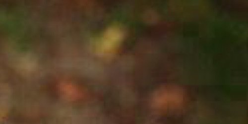 Ha1419h's profile banner image