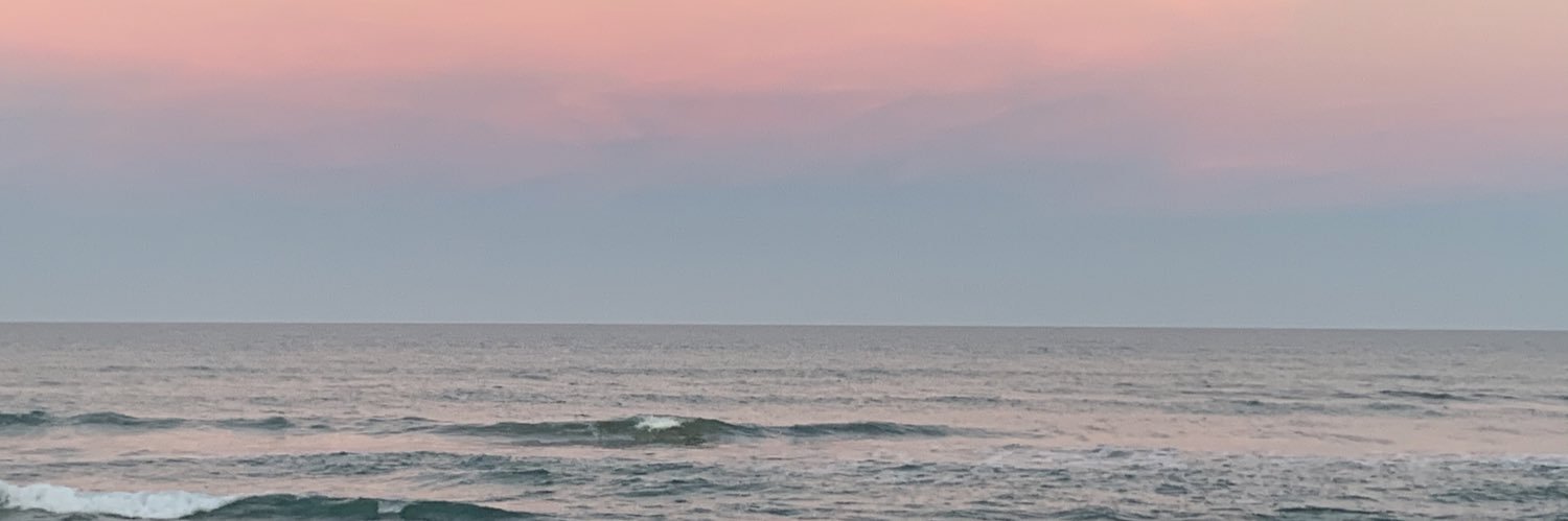 Iris Pons banner
