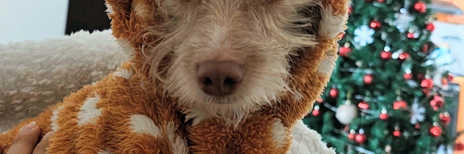 PoohMedina's profile banner image