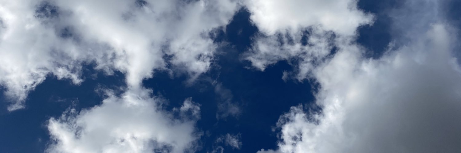 tlkoko11's profile banner image