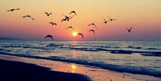 _Raghad1404's profile banner image