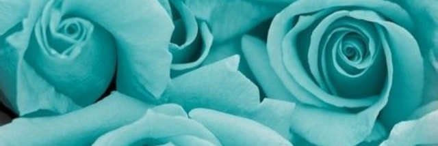 GraceWattsx's profile banner image
