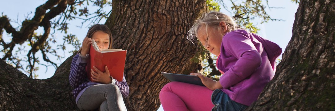 Summerfield Waldorf School & Farm banner