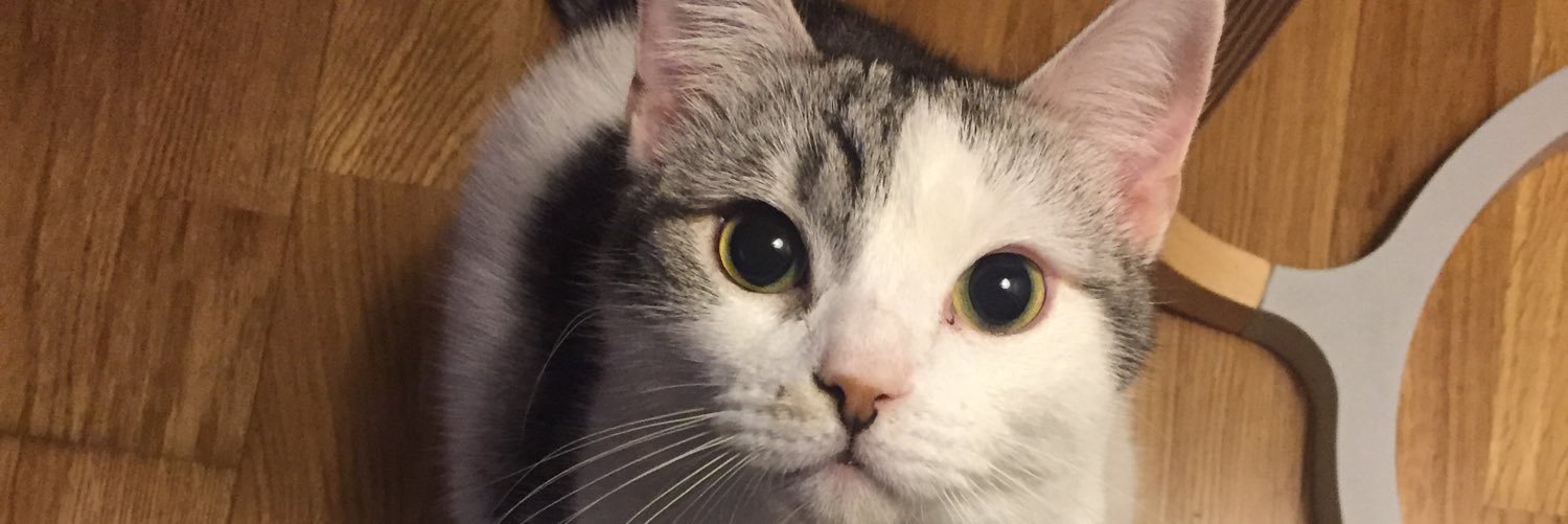 StephanieEldred's profile banner image