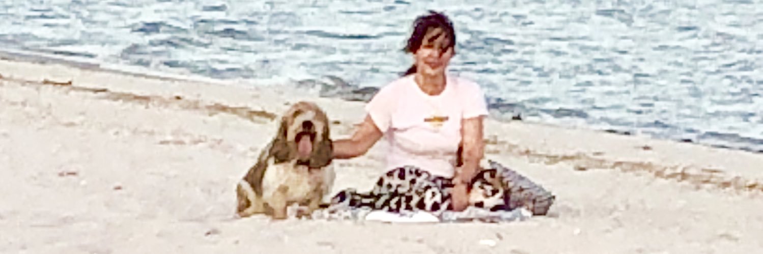 Colette_Saucier's profile banner image