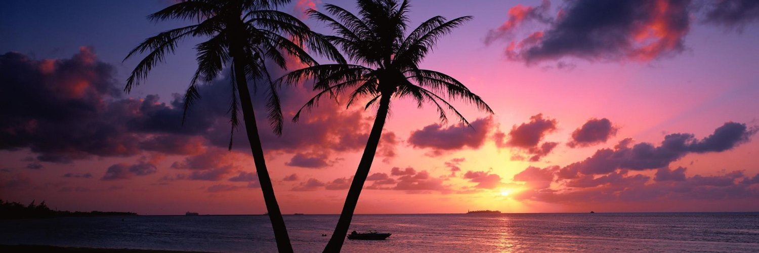 NickyBB77's profile banner image