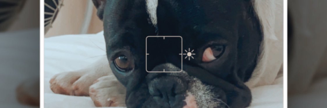 JuliiMarso's profile banner image