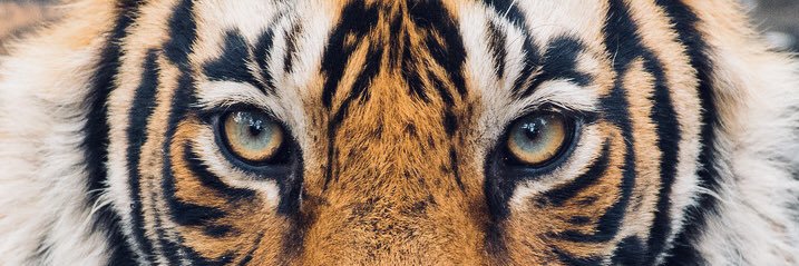KDubbz_'s profile banner image
