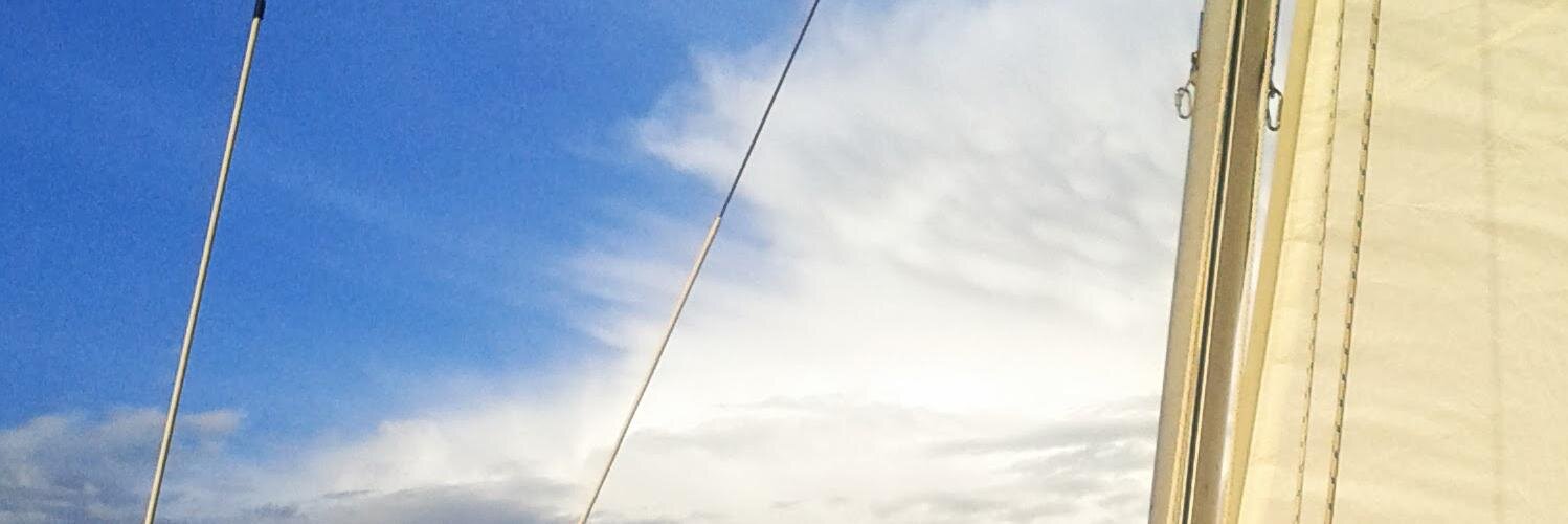 cognish's profile banner image
