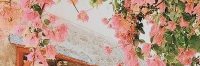 rsas1411's profile banner image