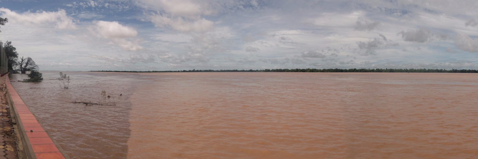 Prof Steve Darby banner