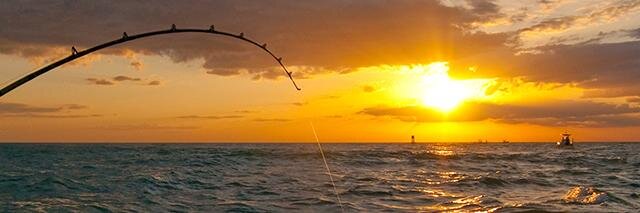 mjcarter8's profile banner image