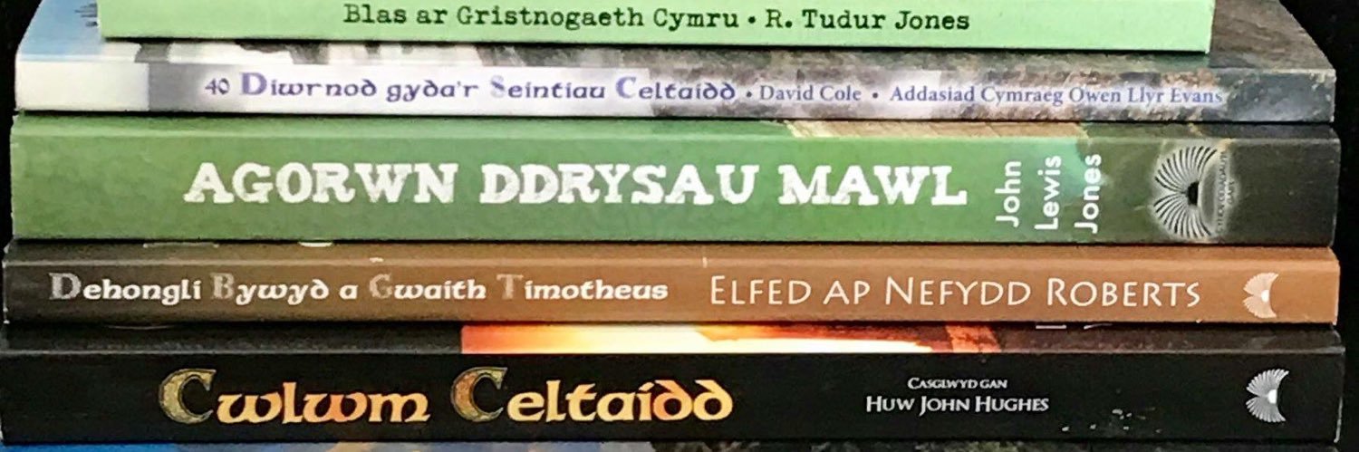 ysgolsul's profile banner image