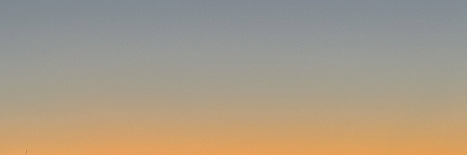 BarbaraPachecoL's profile banner image