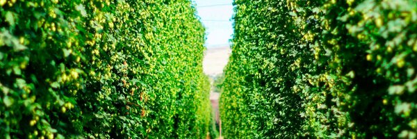 BaleBreaker Profile Banner