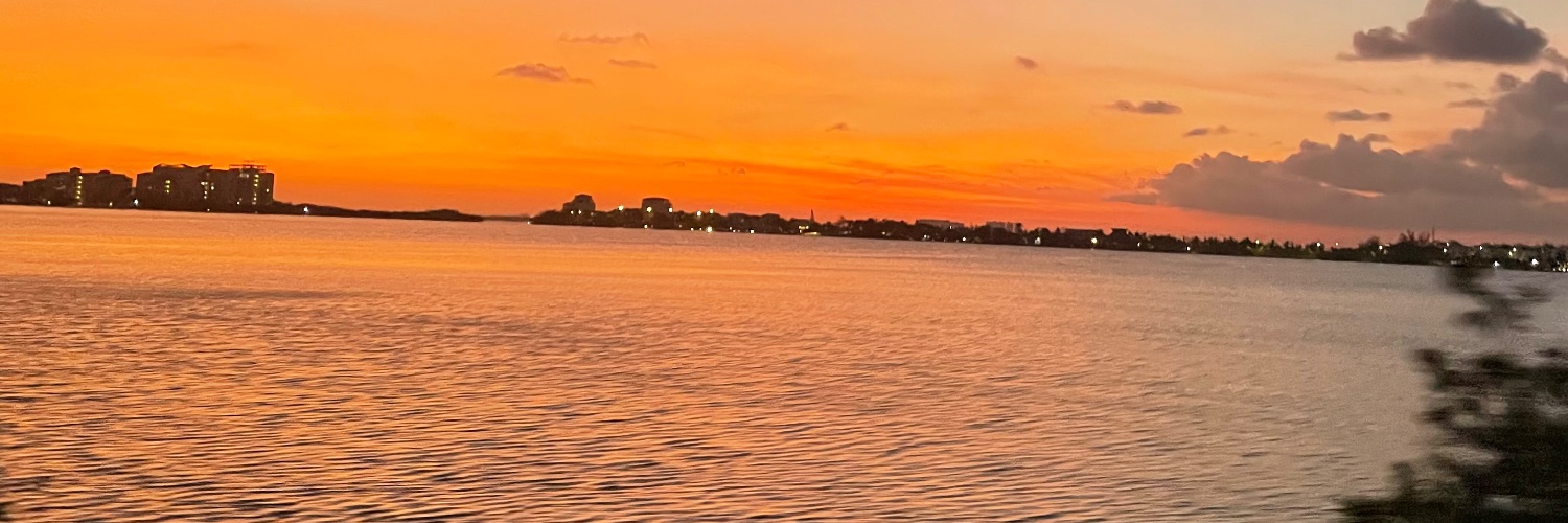 valeriabayon's profile banner image