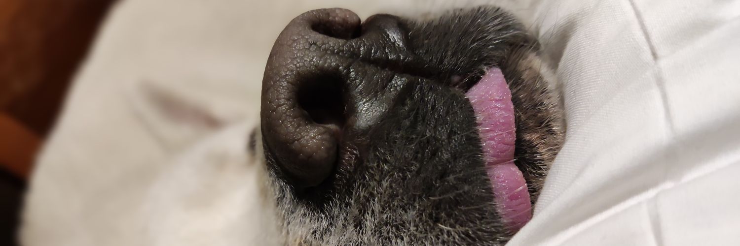 cunilam's profile banner image
