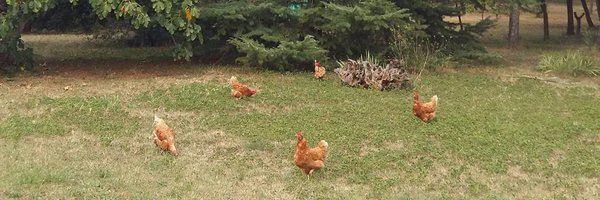 juliaheredia1 Profile Banner