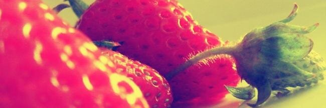 Tamara E. Maldonado banner