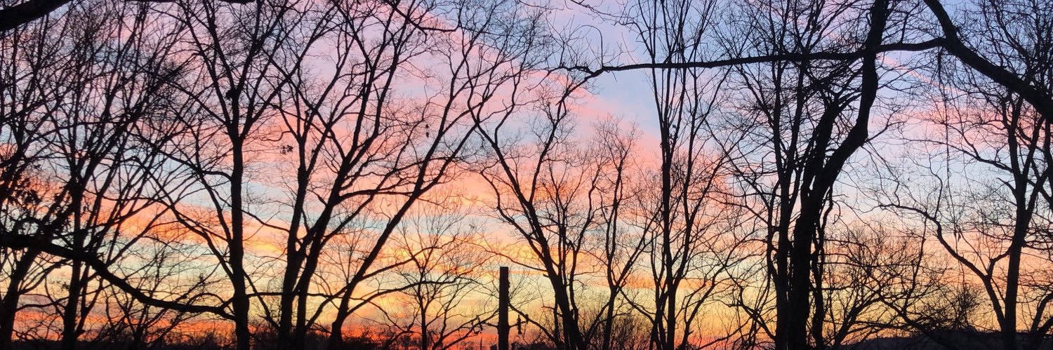 cweavie's profile banner image