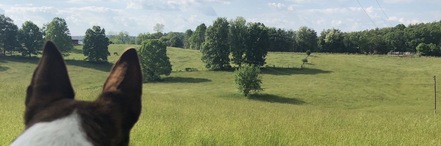 TaylorNaff's profile banner image