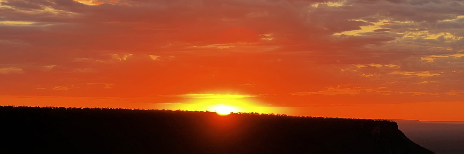 Midorii_'s profile banner image