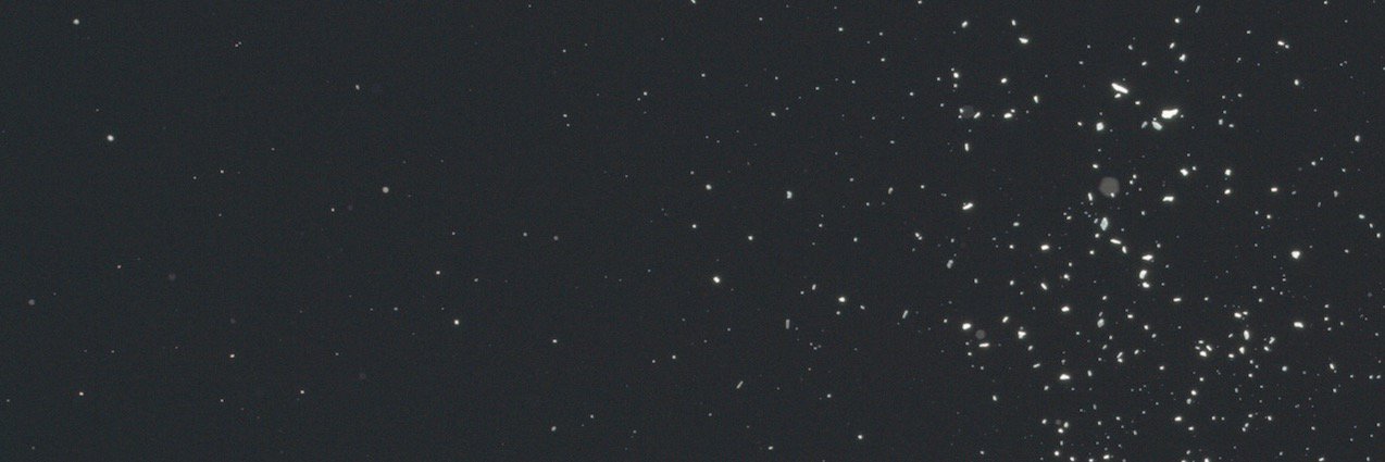 earyberg's profile banner image
