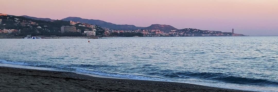 SofOlcese's profile banner image