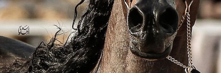ابوراكان banner