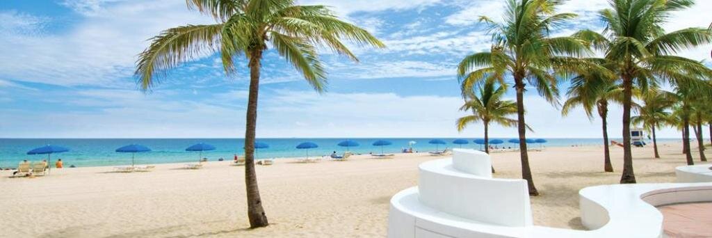 Dolores Gende banner