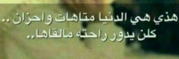 الجنه مرادي banner