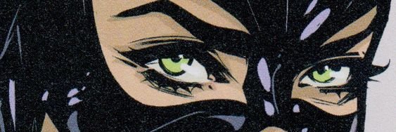 danicarusfall's profile banner image
