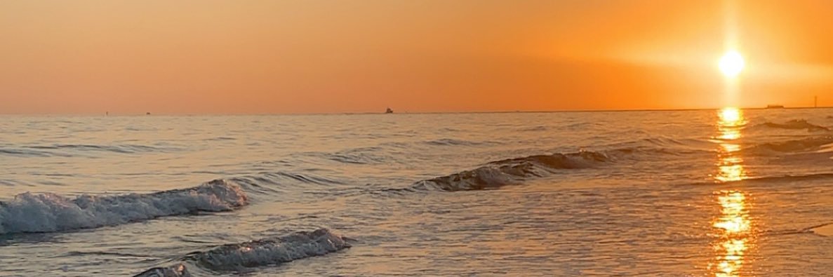_LaceElizabeth's profile banner image
