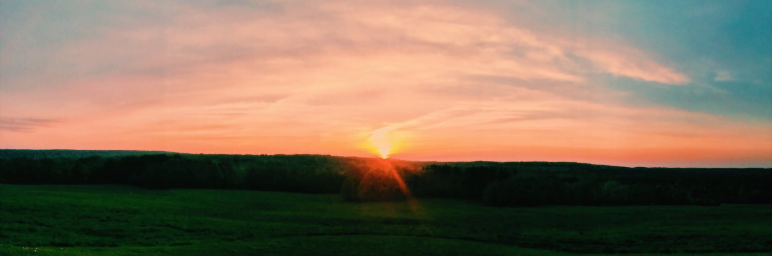 marynolan13's profile banner image