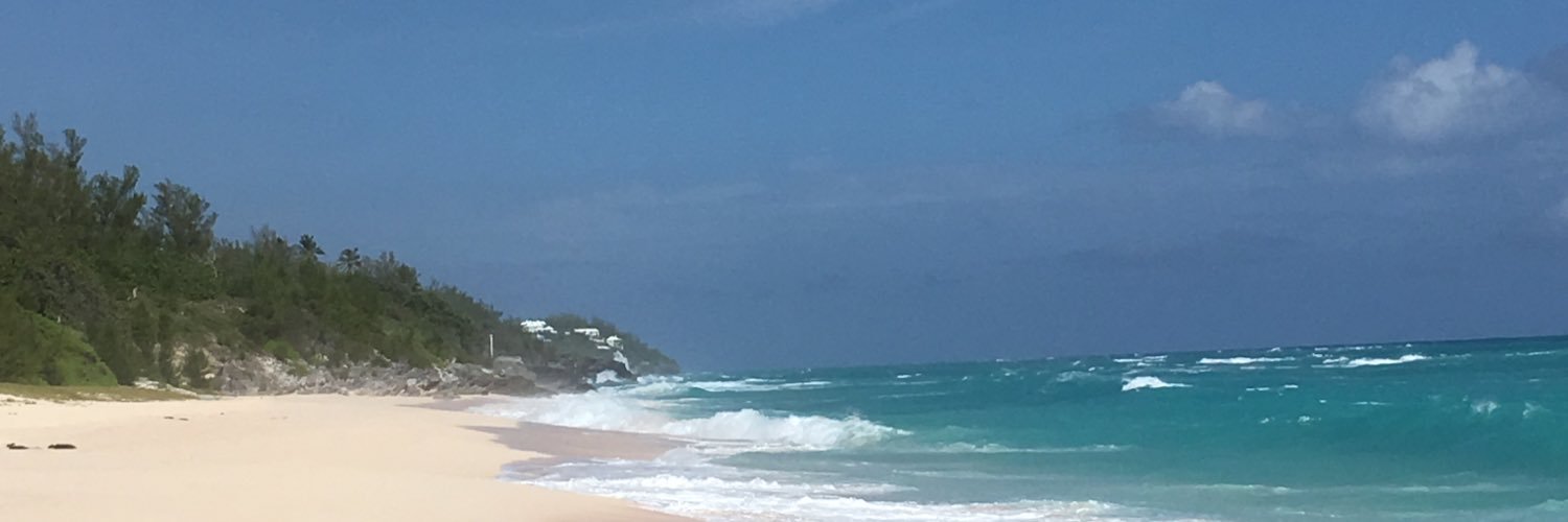 suzibott's profile banner image