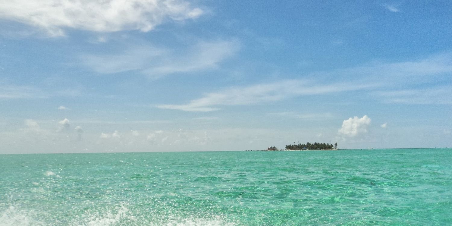 AndreaBustos's profile banner image