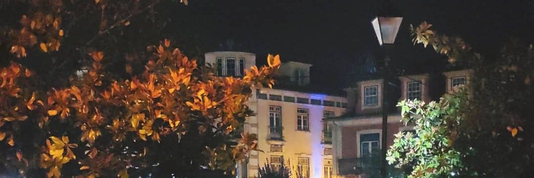 saraccoliveira's profile banner image