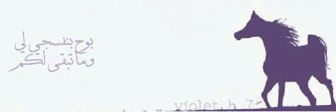 violet_h_7's profile banner image