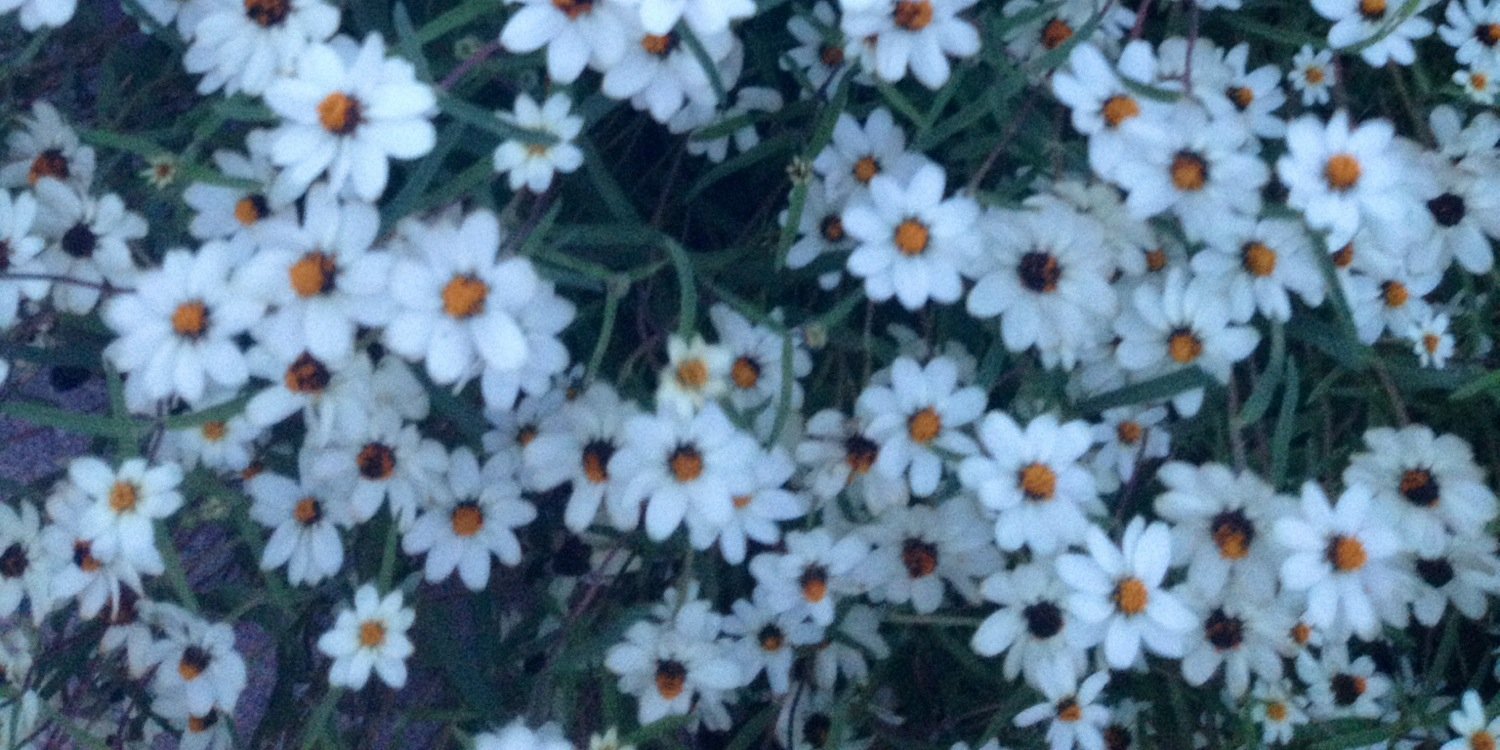 ashl3y80's profile banner image