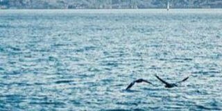 __b_5's profile banner image