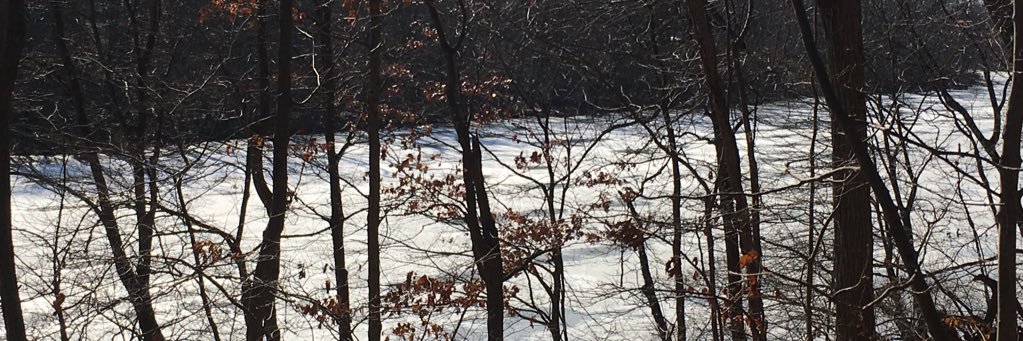 Debra Lancaster banner