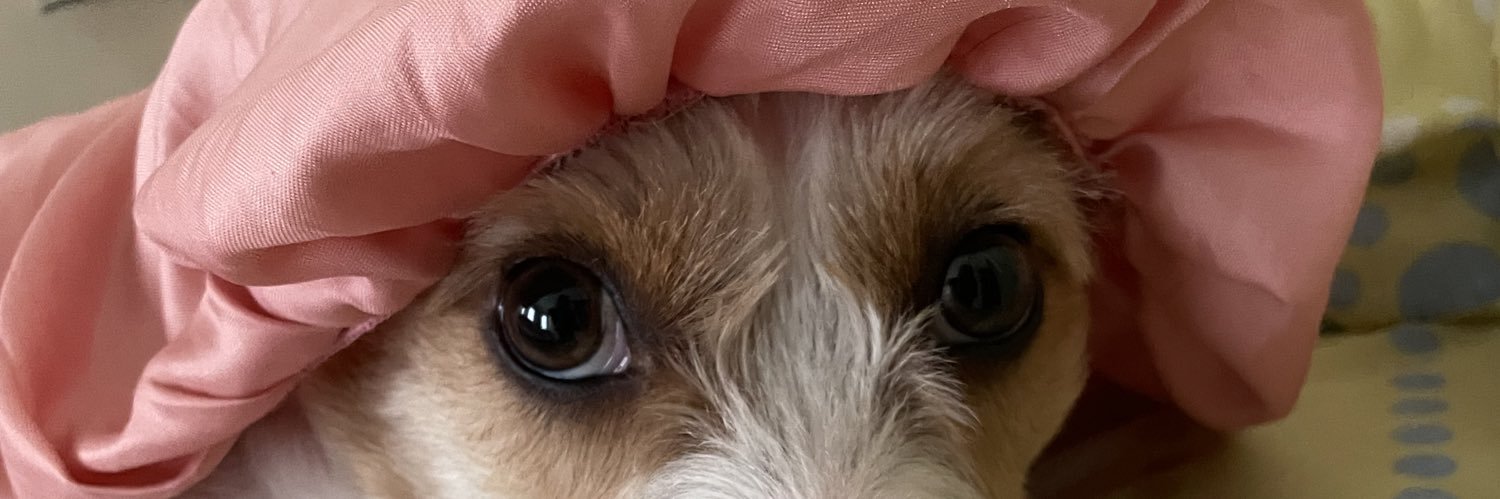 xingandoempaz's profile banner image